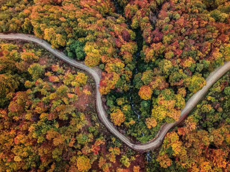 Foliage autunnale